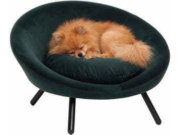 Flamingo Dolco - Sofa hond & kat - Rond model - Groen - 54 x, Verzenden, Nieuw