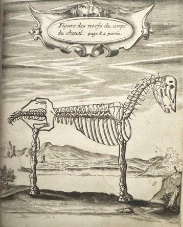 Markham MOLTO RARO - LE NOUVEAU ET SCAVANT MARESCHAL - 1666