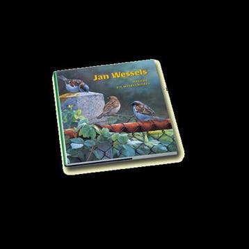 Jan Wessels - R. Boer 9789080821217, Verzenden, Zo goed als nieuw, R. Boer