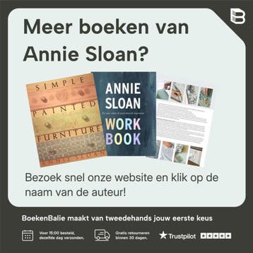 Annie Sloan Paints Everything 9781782493563 Annie Sloan, Verzenden, Gelezen, Annie Sloan