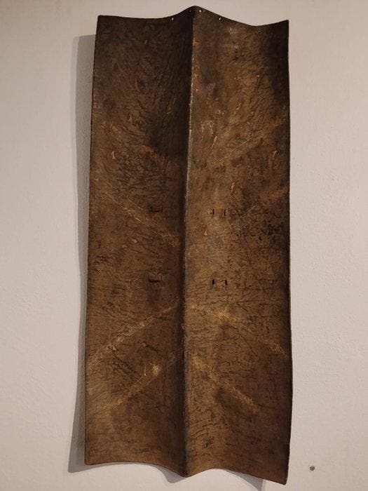 Naga schild - India, Antiek en Kunst, Kunst | Niet-Westerse kunst