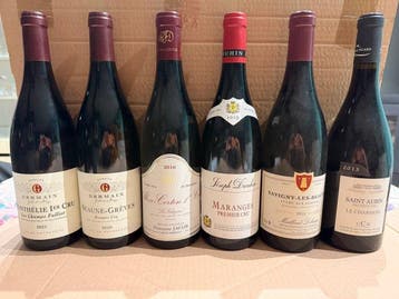 2020 Beaune Grèves 2016 Aloxe Corton Valozières 2015, Nieuw
