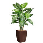 Dieffenbachia kunstplant, H140cm, Ophalen of Verzenden, Overige soorten, 100 tot 150 cm