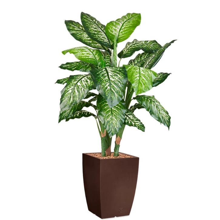 Dieffenbachia kunstplant, H140cm, Huis en Inrichting, Kamerplanten, Overige soorten, 100 tot 150 cm, Ophalen of Verzenden