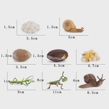 Educatieve Levenscyclus Figuren: Snail, Mantis & Sprinkhaan, Dieren en Toebehoren