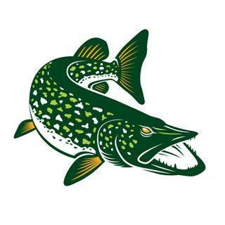 Vliegvissen op snoek | Fly fishing for pike, Watersport en Boten, Hengelsport | Vliegvissen, Ophalen of Verzenden, Nieuw