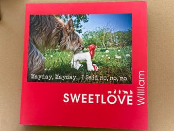 Pop-Art - William Sweetlove - Mayday, mayday... I said no, Verzenden, Zo goed als nieuw