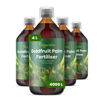 Goldfruit Palm vloeibare meststof - Set 4x1 liter, Verzenden, Mest