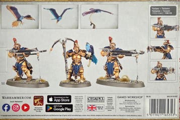 Stormcast Eternals Vanguard-Raptors (Warhammer nieuw), Hobby en Vrije tijd, Wargaming, Ophalen of Verzenden, Nieuw