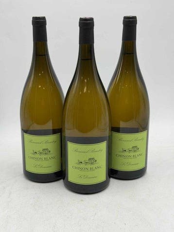 2024 Bernard Baudry Chinon, Le Domaine - Chinon - 3 Magnums, Nieuw