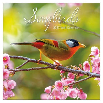 Songbirds kalender 2027, Ophalen of Verzenden, Nieuw in verpakking