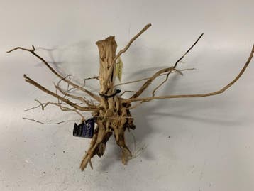 Driftwood Selected DW16 - 33x54x23cm (Small drift wood), Dieren en Toebehoren, Vissen | Aquaria en Toebehoren, Ophalen of Verzenden