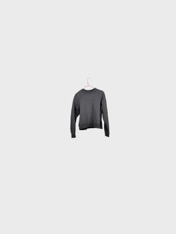 ARCTERYX Sweatshirts Heren maat M Grijs Vintage, Maat 48/50 (M), Ophalen of Verzenden, Zo goed als nieuw, Grijs