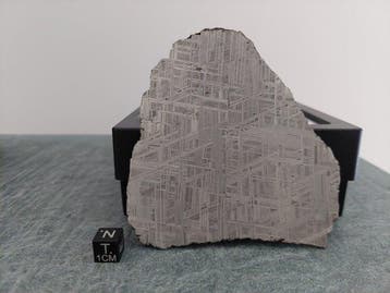 Muonionalusta meteoriet IJzer meteoriet - Hoogte: 10 cm -, Verzamelen, Mineralen en Fossielen