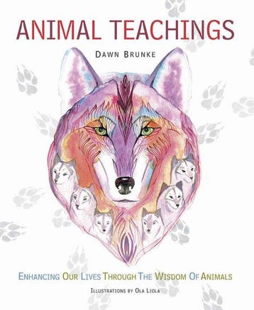 Animal Teachings 9781908170415 Dawn Brunke, Verzenden, Zo goed als nieuw, Dawn Brunke