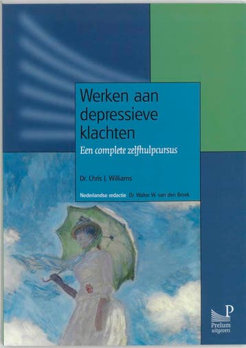 Werken aan depressieve klachten druk 1 9789085620051, Boeken, Zo goed als nieuw