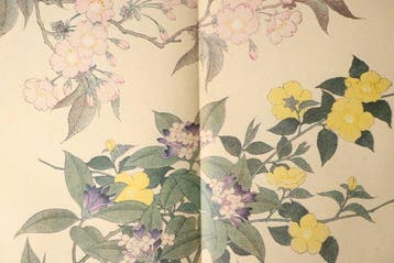 Sakai Hoitsu - Shiki no Hana (Flowers of the Four Seasons)