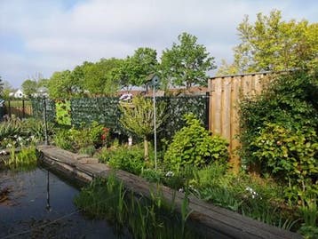 Greenwall rol Groenwand afscheiding 50x300 cm per stuk, Ophalen of Verzenden, Nieuw