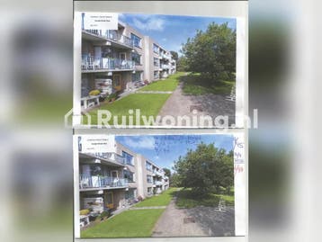 Leuk knus beneden huisje in Zandvoort, bij duinen en strand., Huizen en Kamers