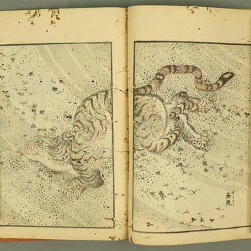 Hokusai Manga   – Thirteenth Volume (Jusanpen) Meiji