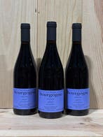 2023 Sylvain Pataille - Bourgogne Rouge - Bourgogne - 3, Nieuw