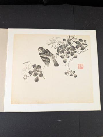 Japanse vogel op tak met bloemen - Papier - Duitsland - 1633