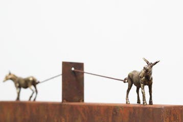 Pancho Porto (1988) - Burros (De libre interpretación)