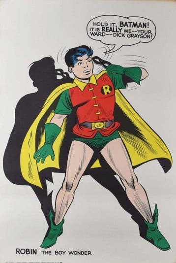 Sheldon Moldof Poster - DC Comics – Robin The Boy Wonder, Boeken, Nieuw