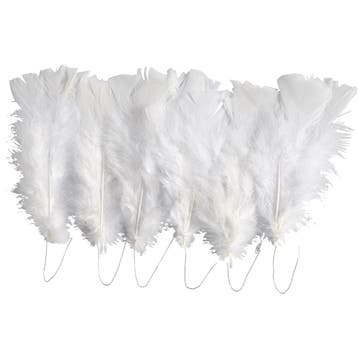 Veren, L: 11-17 cm, wit, 18 bol/ 1 doos, Hobby en Vrije tijd, Knutselen, Nieuw