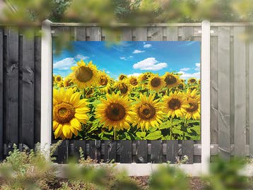 NR 1316: Tuinposter zonnebloemenveld 120x180cm, Nieuw