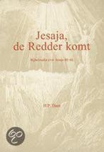 Jesaja, de Redder komt / Bijbel en kerk 9789055600274, Boeken, Verzenden, Gelezen, H.P. Dam