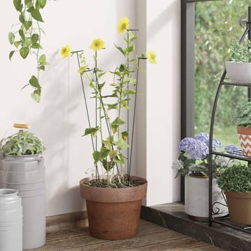 vidaXL Plantenstaken 20 st 61 cm staal donkergroen, Tuin en Terras, Bloembakken en Plantenbakken, Verzenden, Nieuw, 60 cm of meer