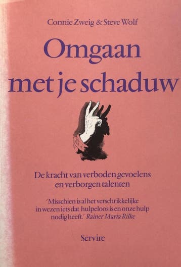 Omgaan met je schaduw - C. Zweig 9789063255374, Boeken, Verzenden, Zo goed als nieuw, C. Zweig