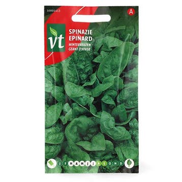 Spinazie zaad | VT (Winterreus), Tuin en Terras, Verzenden