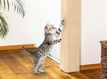 Hi Katten krabmat - 80x28x1 cm - Zandkleur, Verzenden, Nieuw