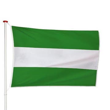 Vlag Rotterdam 40x60cm, Diversen, Verzenden, Nieuw