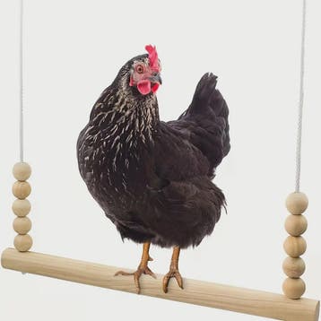 Houten Kip Schommel met Kralen - Klim- en Speeltoestel voor, Verzenden, Nieuw
