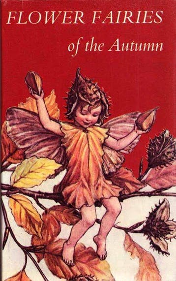 Flower Fairies of the Autumn, Verzenden, Gelezen