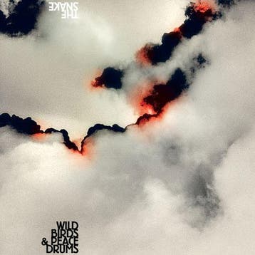 cd - wild birds &amp; peace drums - THE SNAKE (nieuw), Verzenden, Zo goed als nieuw