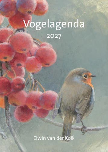 Vogel Agenda 2027 | Elwin Kolk | Nieuw, Ophalen of Verzenden, Nieuw, Elwin Kolk