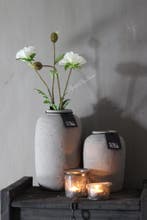 Zijden papaver tak wit 60 cm, Ophalen of Verzenden, Nieuw