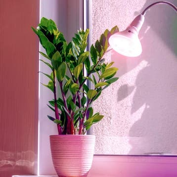 Kobi LED Grow Bulb Planty-B 7W E27 1200K Wit - Design Kwe..., Ophalen of Verzenden, Nieuw