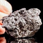 Campo del Cielo - Meteoriet – ijzer-nikkel met