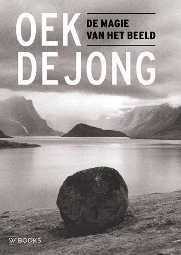 De magie van het beeld 9789462584457 Oek de Jong, Boeken, Kunst en Cultuur | Beeldend, Gelezen, Verzenden