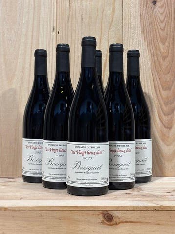 2023 Gauthier Père et Fils - Domaine du Bel Air Vingt Lieux, Nieuw