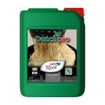 Dutch Pro | Take root | Wortelstimulator | 10 ltr, Ophalen of Verzenden, Nieuw
