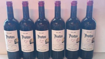 2021 Bodegas Protos, 3º Año - Ribera del Duero Crianza - 6, Nieuw