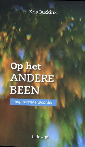 Op het andere been - Kris Buckinx 9789085285618, Verzenden, Zo goed als nieuw, Kris Buckinx