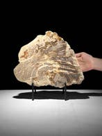 Indrukwekkende plak versteend hout op een op maat gemaakte