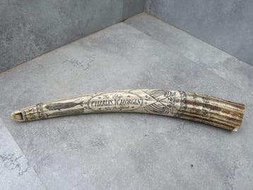 Walvis Bot - Sperm whale tooth decorated as scrimshaw